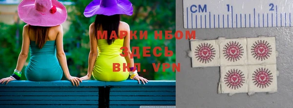 соль ск Няндома