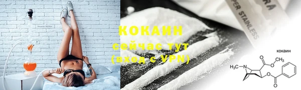 соль ск Няндома