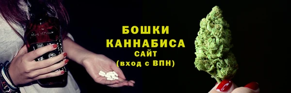 соль ск Няндома