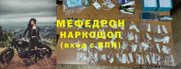 соль ск Няндома