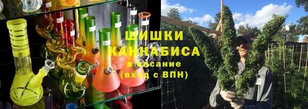 дмт Нягань