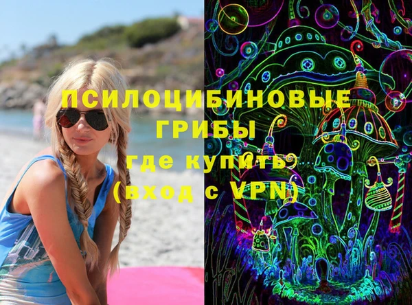 соль ск Няндома
