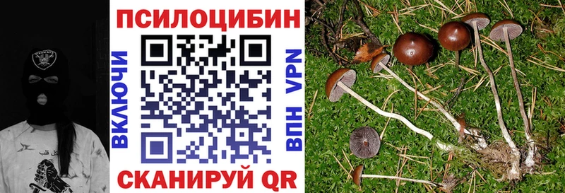 Галлюциногенные грибы Psilocybine cubensis  что такое наркотик  Мураши 
